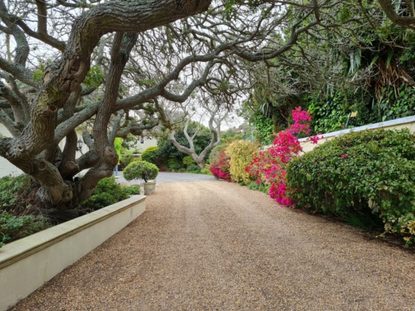 Cam, Constantia