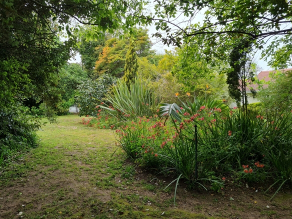 Cam, Constantia