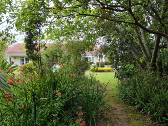 Cam, Constantia