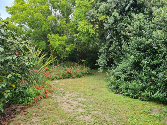Cam, Constantia