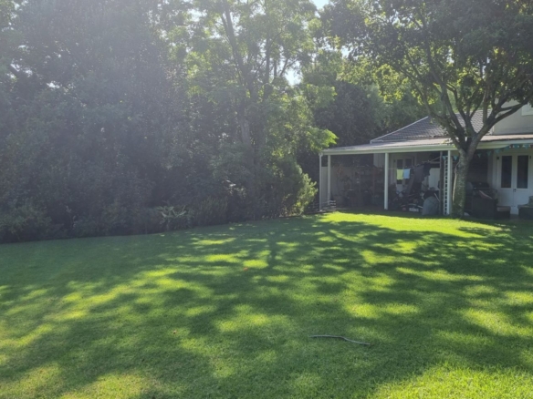 Lorcan, Constantia