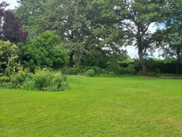 Moss, Elgin
