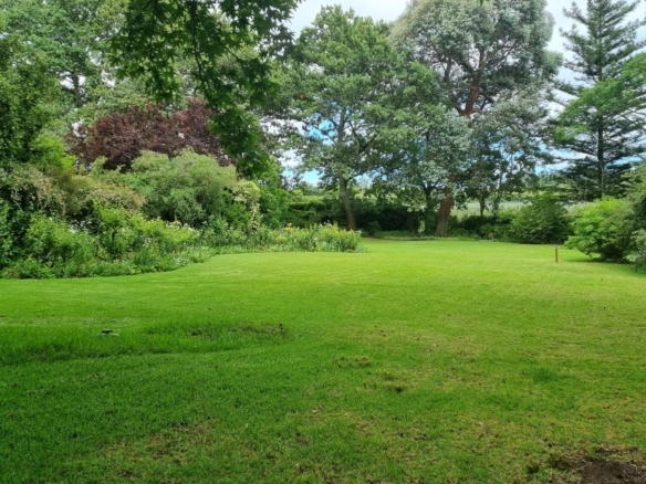 Moss, Elgin
