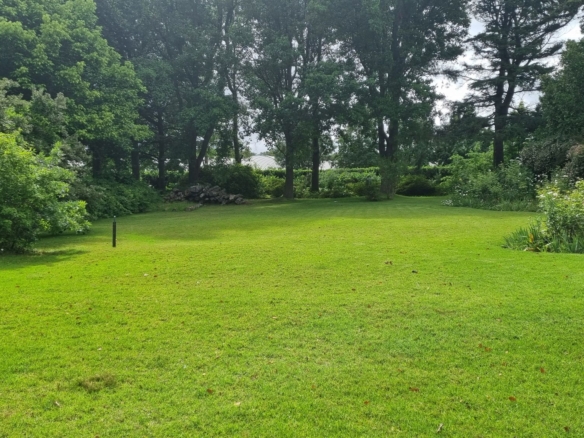 Moss, Elgin