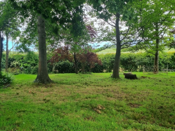 Moss, Elgin