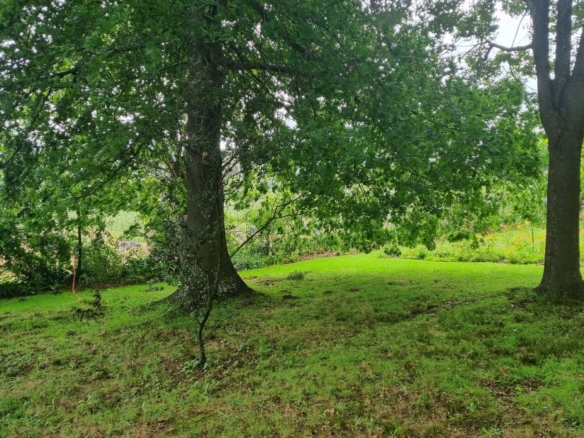 Moss, Elgin