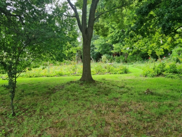 Moss, Elgin