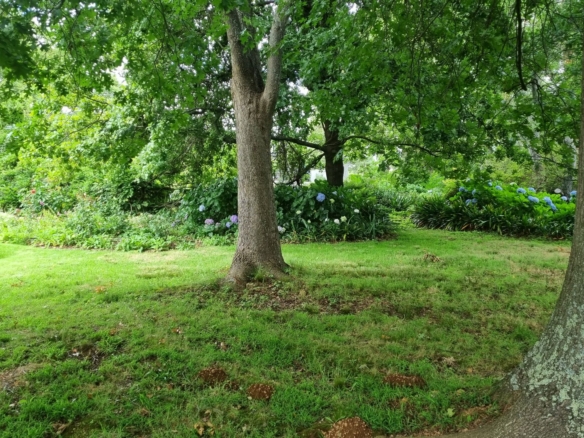 Moss, Elgin
