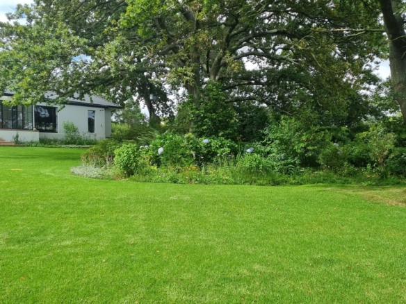 Moss, Elgin