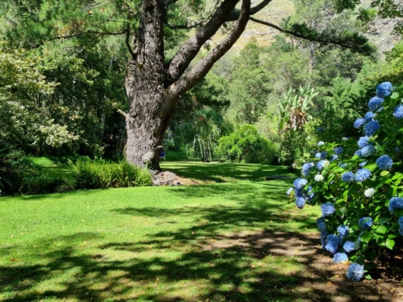 Waterhof, Jonkershoek