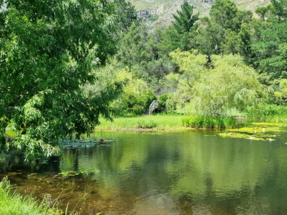 Waterhof, Jonkershoek