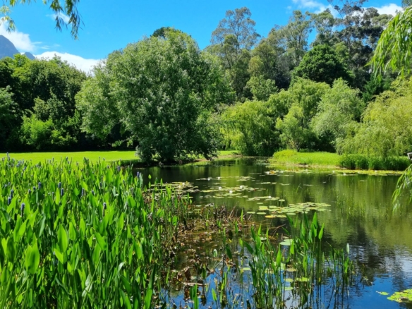 Waterhof, Jonkershoek