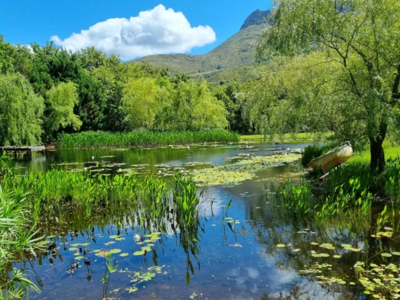 Waterhof, Jonkershoek