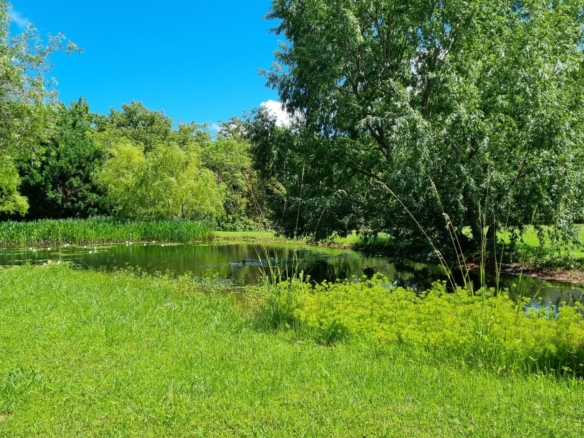Waterhof, Jonkershoek