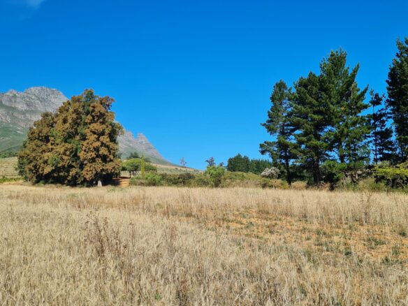 Delheim, Klapmuts