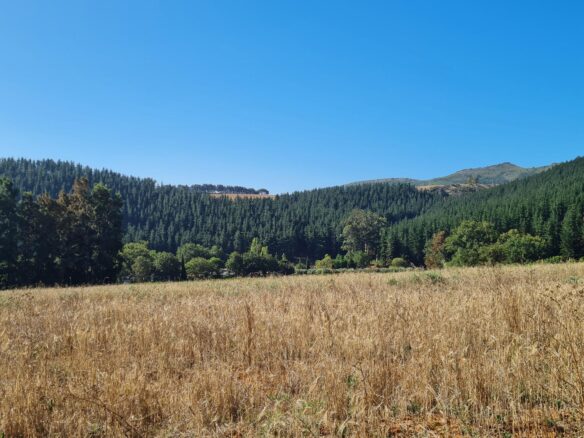 Delheim, Klapmuts
