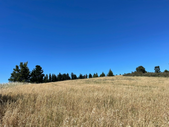Delheim, Klapmuts