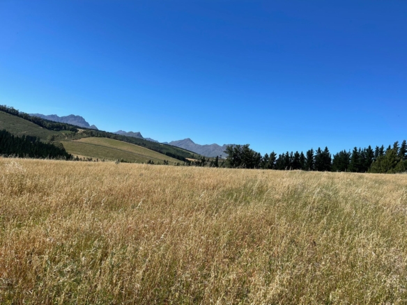 Delheim, Klapmuts