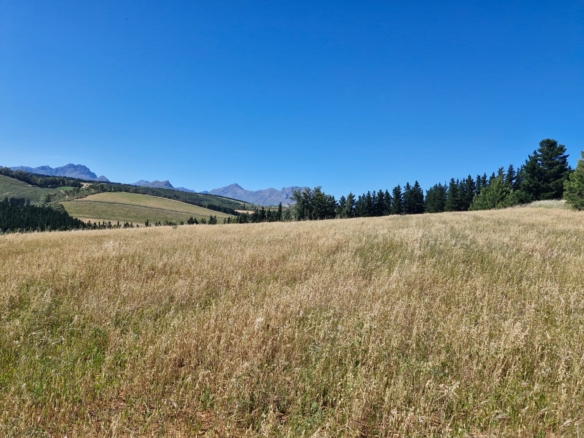 Delheim, Klapmuts
