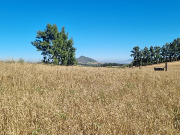 Delheim, Klapmuts