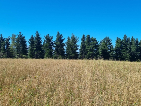 Delheim, Klapmuts