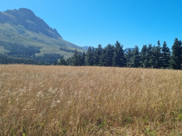 Delheim, Klapmuts