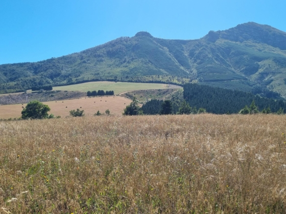 Delheim, Klapmuts