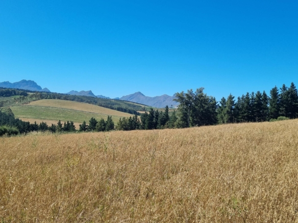 Delheim, Klapmuts