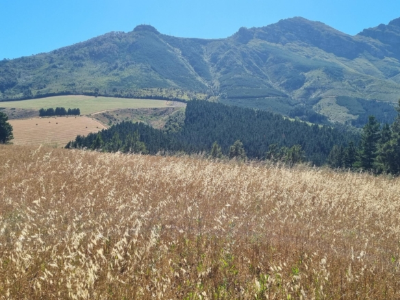 Delheim, Klapmuts
