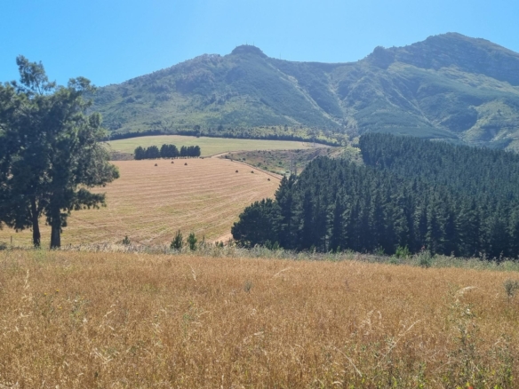 Delheim, Klapmuts