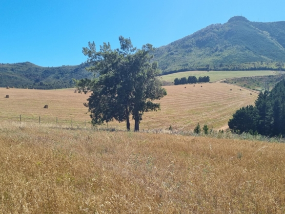 Delheim, Klapmuts