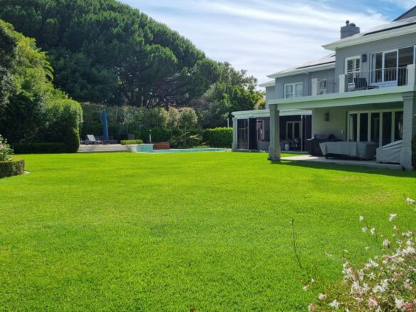 Rapid, Constantia