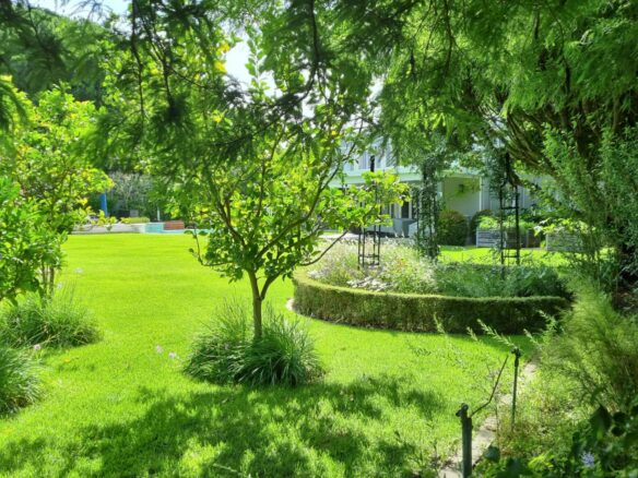 Rapid, Constantia