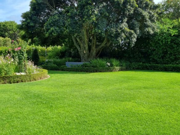 Rapid, Constantia