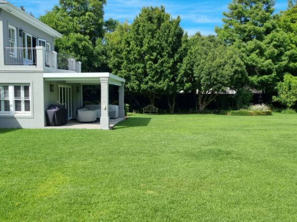 Rapid, Constantia