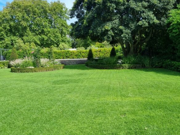 Rapid, Constantia