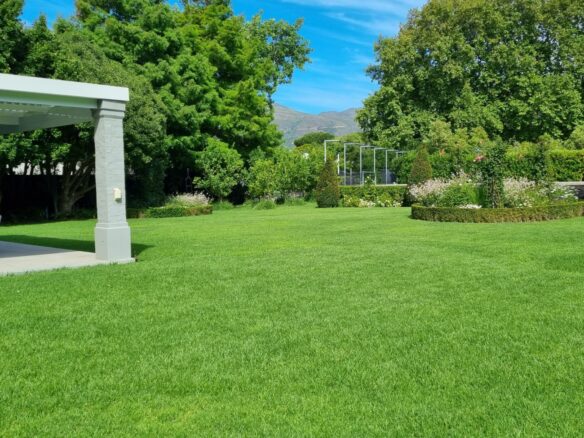 Rapid, Constantia