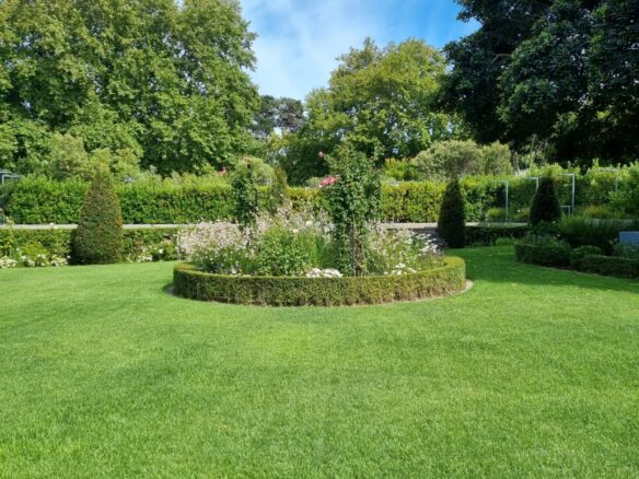 Rapid, Constantia