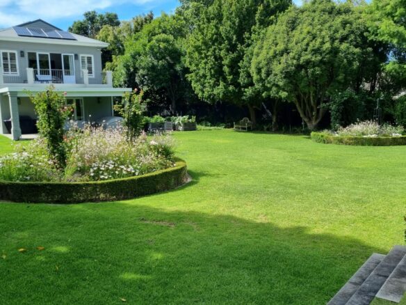 Rapid, Constantia