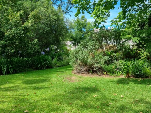Sarah H, Constantia