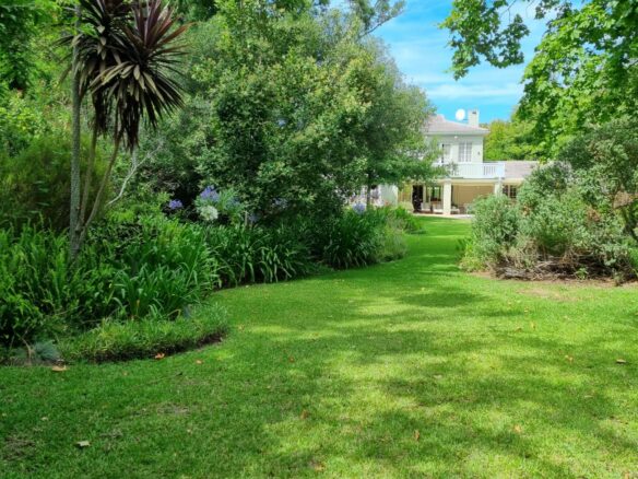 Sarah H, Constantia