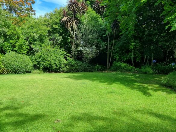 Sarah H, Constantia