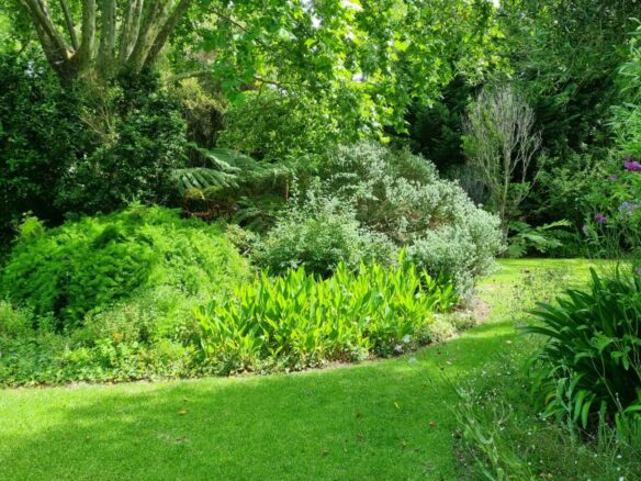 Sarah H, Constantia