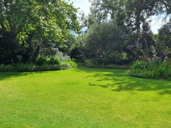 Sarah H, Constantia