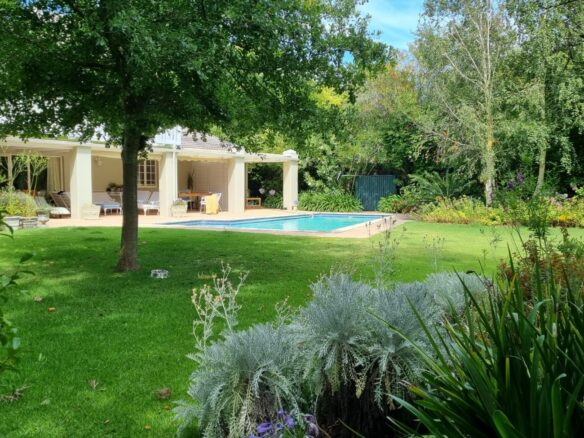 Sarah H, Constantia