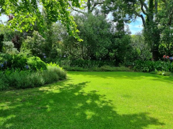 Sarah H, Constantia
