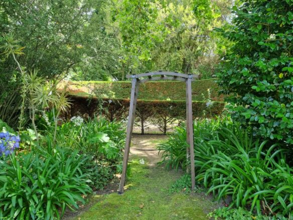 Sarah H, Constantia