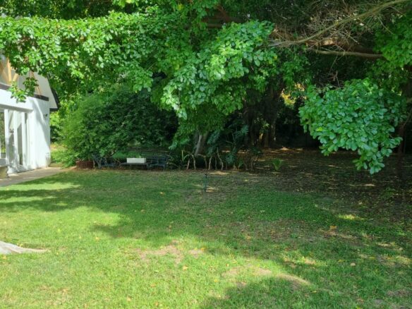 Venture, Constantia