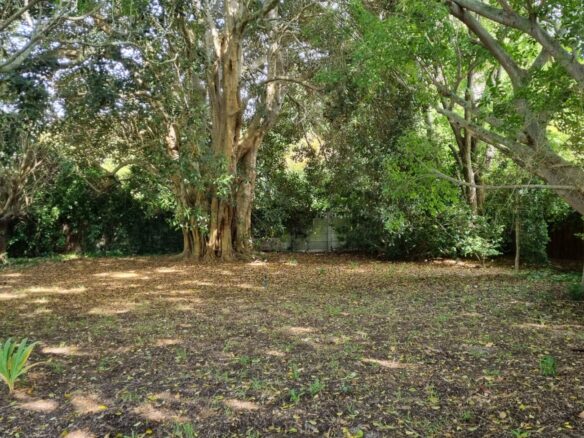 Venture, Constantia