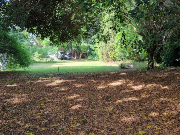 Venture, Constantia